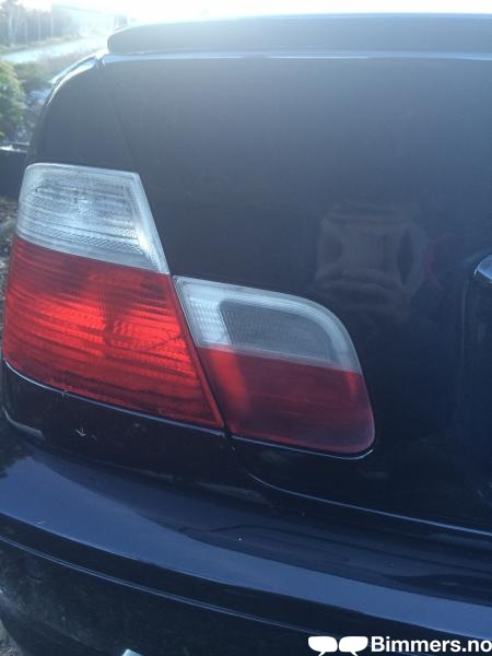 post-80576-0-79467500-1395682427_thumb.j