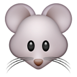 mouse-face.png