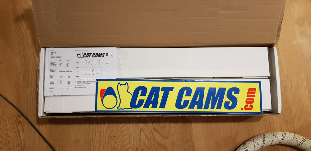 Catcams2.thumb.jpg.599d125cbf562668ddfb205508bac9e3.jpg