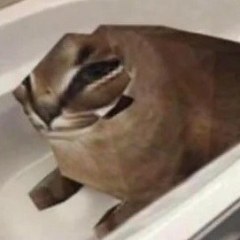 lotipus