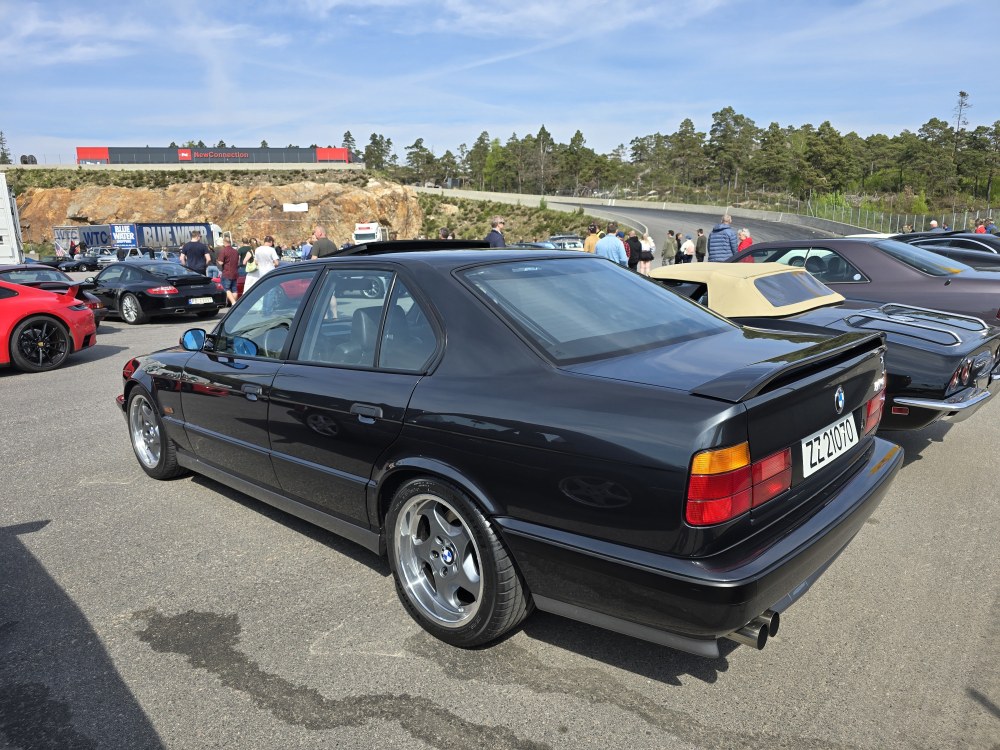 20250501_125218.thumb.jpg.f997a43daf4f372af214b91aeb18c90d.jpg