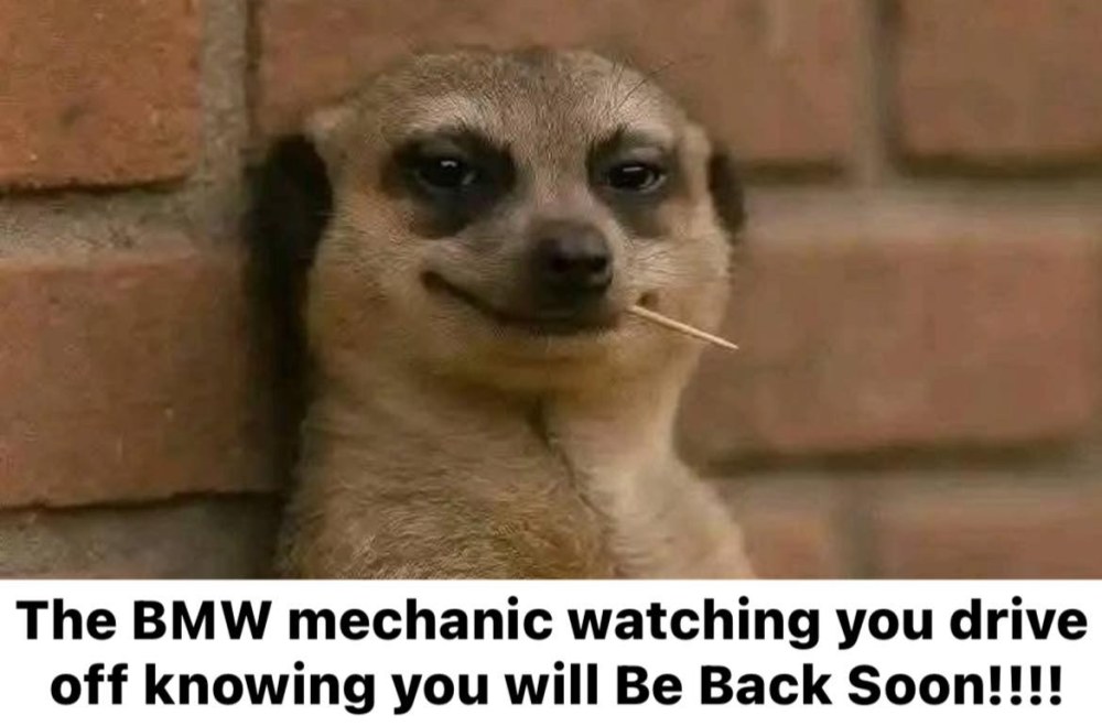 505898684_10163152863652490_9045286539171401604_n.jpg