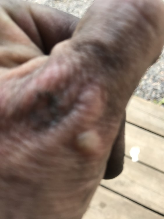 IMG_5591.thumb.jpeg.794678217cf2551b9594b9a31fc00cfe.jpeg