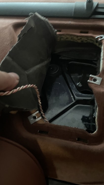 D94A7699-6DE3-4D9C-AE53-00DF0DCB356C.thumb.jpeg.a57562cdef7bad36cb46cc2ccd221f05.jpeg