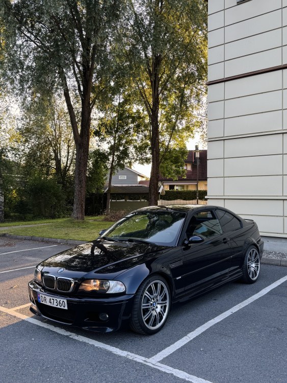 IMG_0911.jpeg