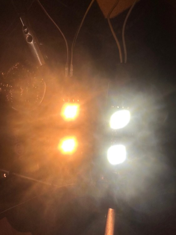 IMG_4986.thumb.jpeg.7440e292b4f9258bd73b678352e35246.jpeg