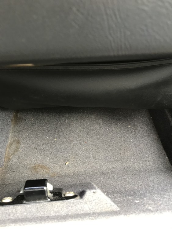 IMG_6440.thumb.jpeg.3162030dd3a33ada965375928e0352a0.jpeg