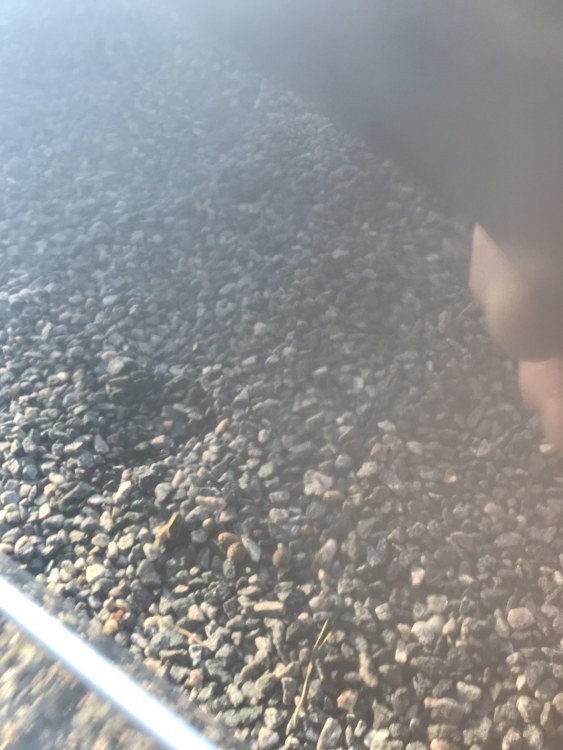IMG_6545.thumb.jpeg.e6075027790e8da2c81847426c382d6c.jpeg
