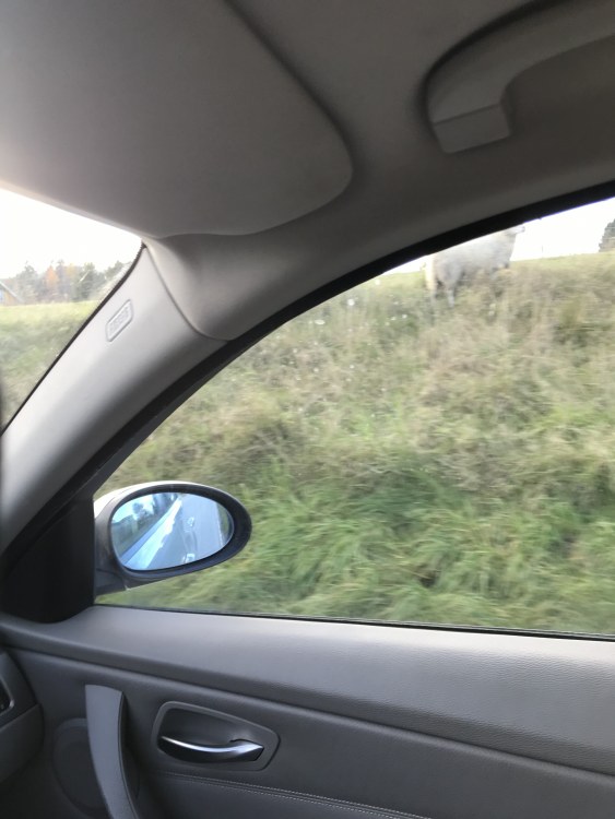 IMG_6624.thumb.jpeg.6f3678a4fc5dd8979f610d086d68c30b.jpeg