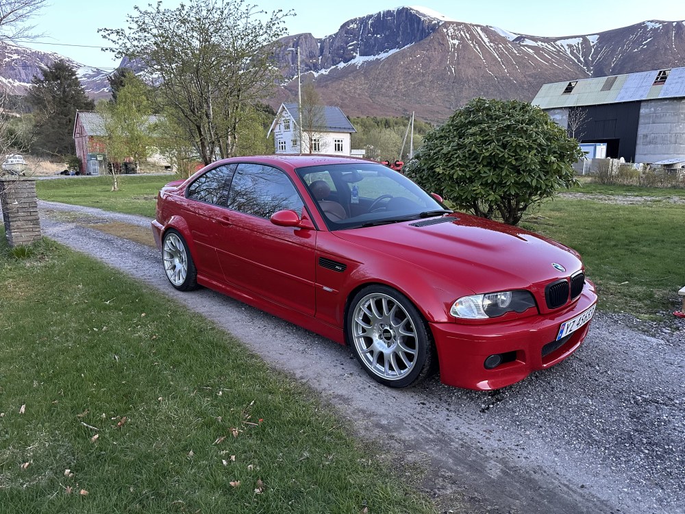 IMG_8005.jpeg