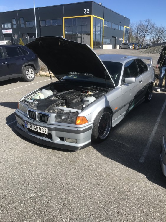 IMG_8327.thumb.jpeg.3165152eea4f56c31fa00b119feadbef.jpeg