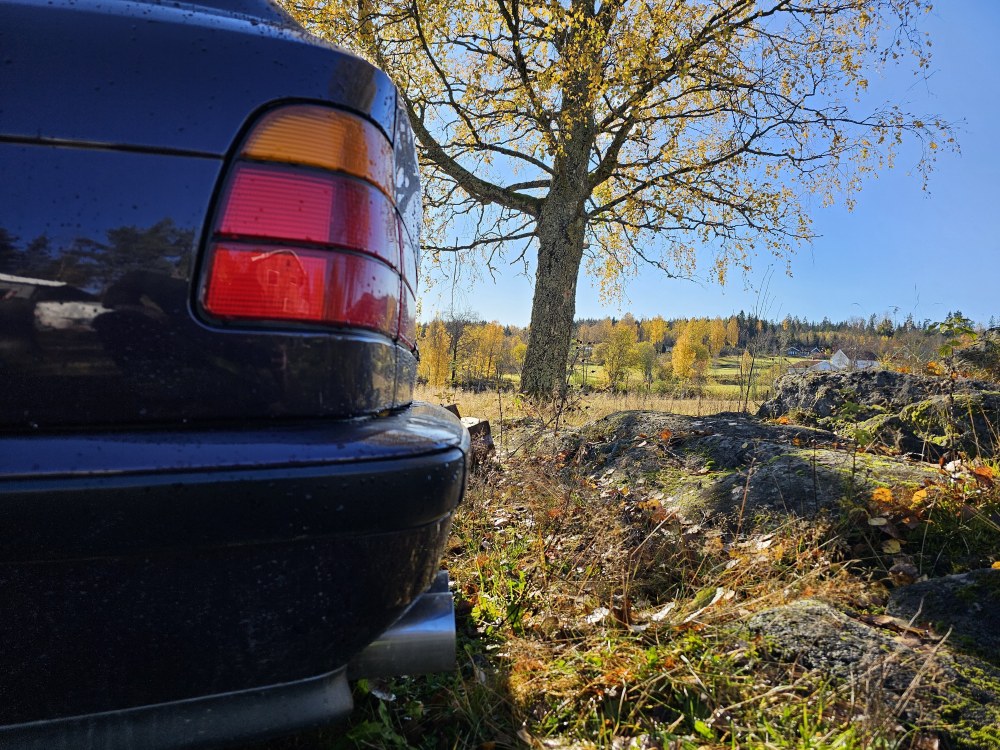 20241011_121447.thumb.jpg.b06c4447aa3fe98a4c83d344f436b706.jpg