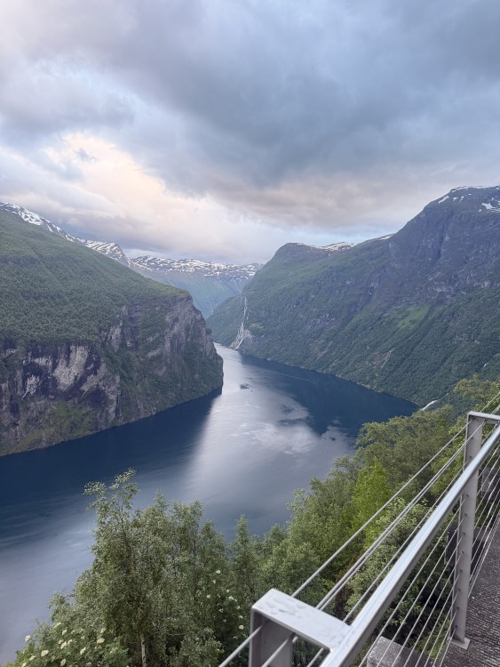 IMG_2645.thumb.jpeg.b85a5933d6463f0309f1e3d45c049e0f.jpeg