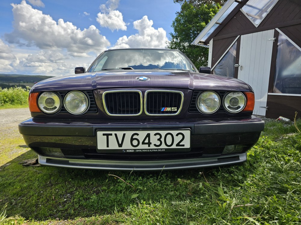 20260612_122848.thumb.jpg.6c6ab5d14ceb878fa8ac69fc389d9781.jpg