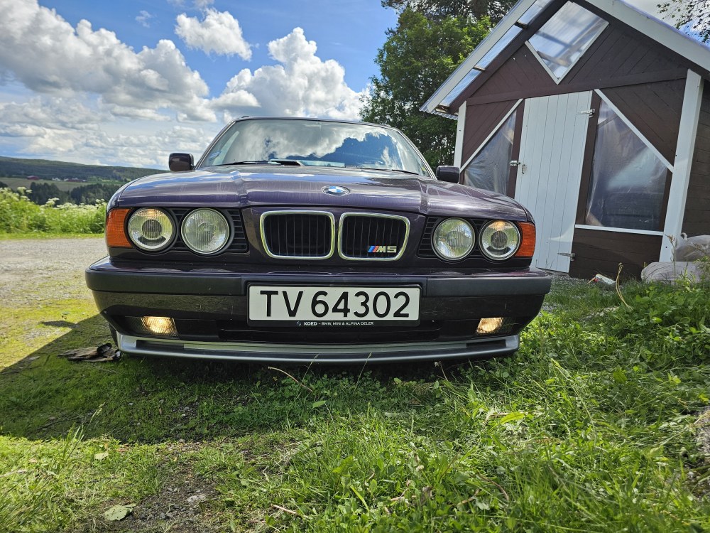 20260612_122920.thumb.jpg.f99cf7be1c7e477a4f314eaf621f805b.jpg