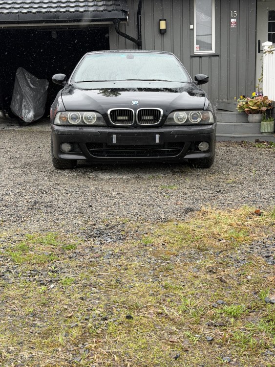 IMG_5803.thumb.jpeg.f52bc5c38f6af2ea696fcf57250d2eaf.jpeg
