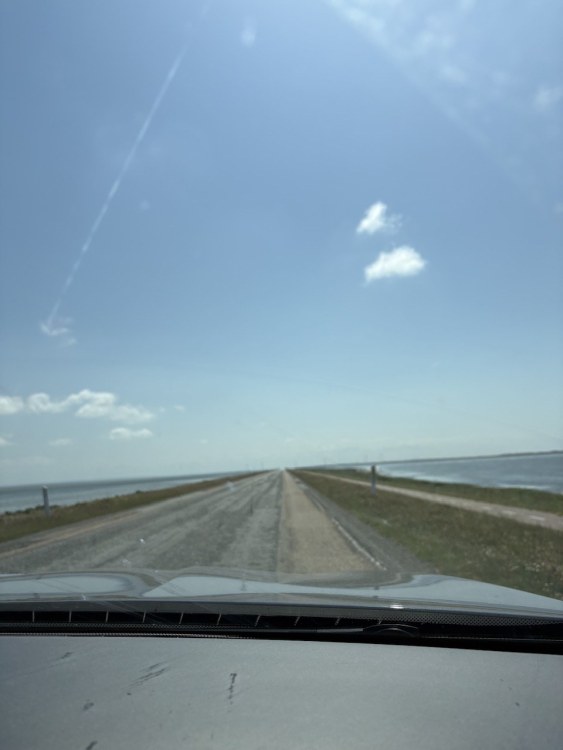 IMG_0279.thumb.jpeg.9e56757c9258bf7b046b72df3380735d.jpeg