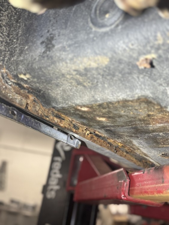 IMG_5603.thumb.jpeg.39dd5ecf651b6d59522ce37992b5fd41.jpeg