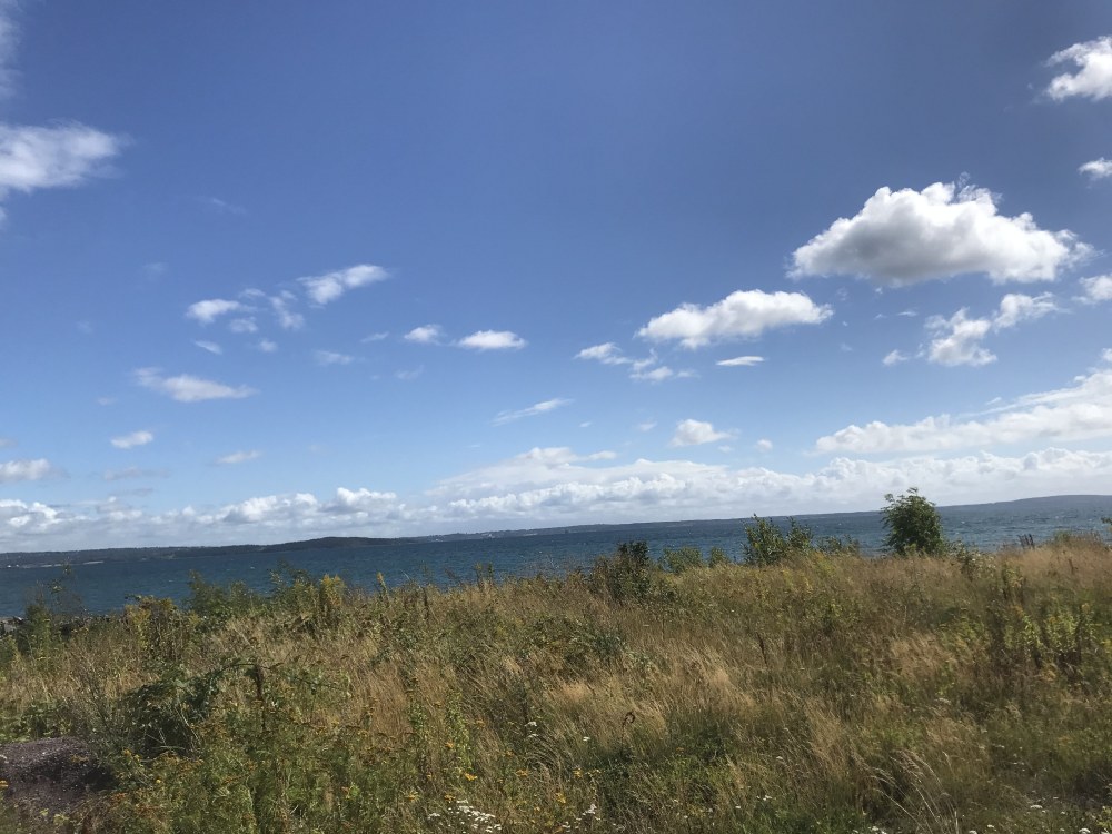 IMG_9099.thumb.jpeg.8086b96a0ac5d6290866794b5806cf85.jpeg