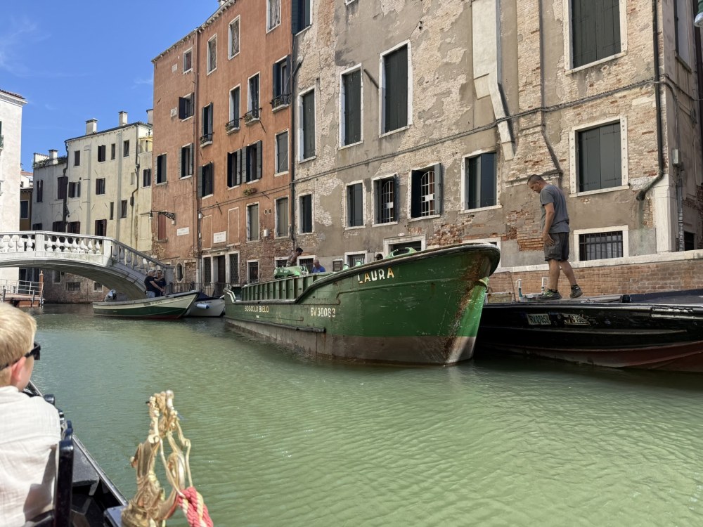 IMG_0918.JPEG