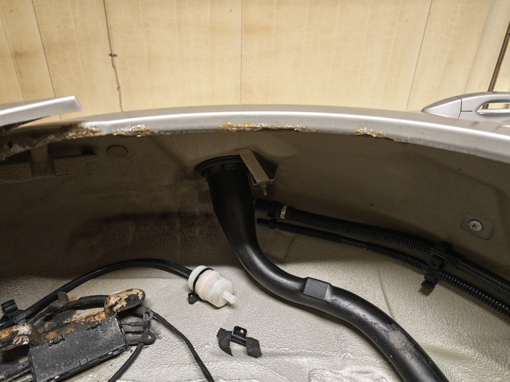 IMG_20260928_135127.thumb.jpg.2eac892b3983295f359bbd88ea37fe0e.jpg