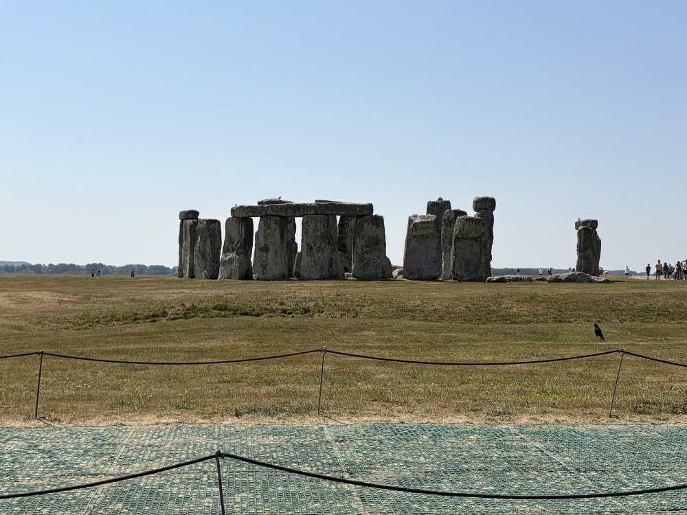 IMG_4351.thumb.jpeg.5a654fd50758fc8fd91fe5962bfbd47a.jpeg