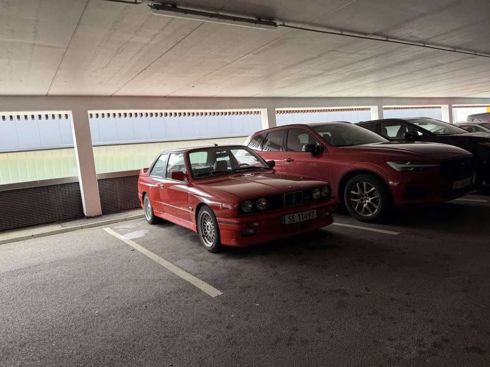 IMG_7607.JPEG